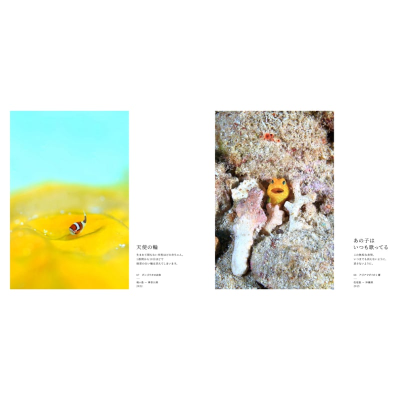 中村博、【地殻変動】、希少な額装用画集より、新品額装付、状態良好 中村博、【地殻変動】、希少な額装用画集より、新品額装付、状態良好 中村