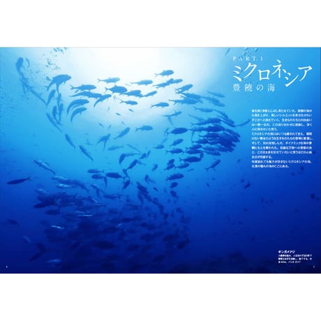 【中村征夫】写真集『永遠の海』