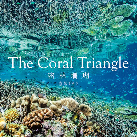 【古見きゅう】写真集『The Coral Triangle 〜密林珊瑚〜』