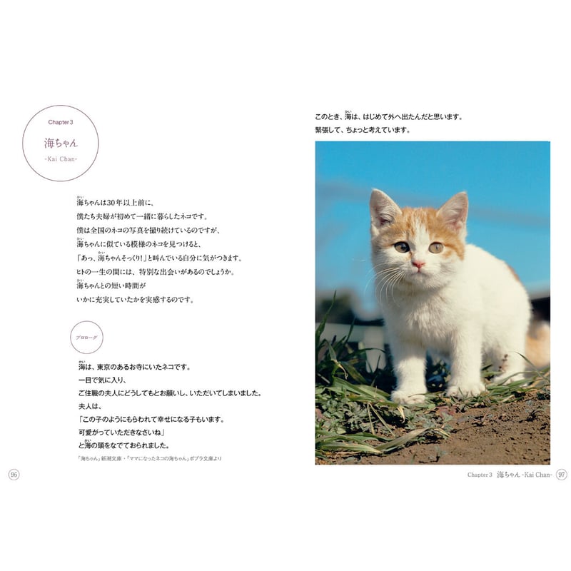 岩合光昭】写真文庫『ねこ』 | Crevis Online Store