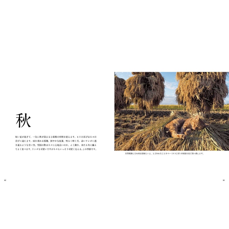 岩合光昭】写真集『ふるさとのねこ』 | Crevis Online Store