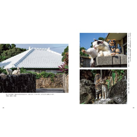 【岩合光昭】写真集『岩合光昭のご当地ねこ』