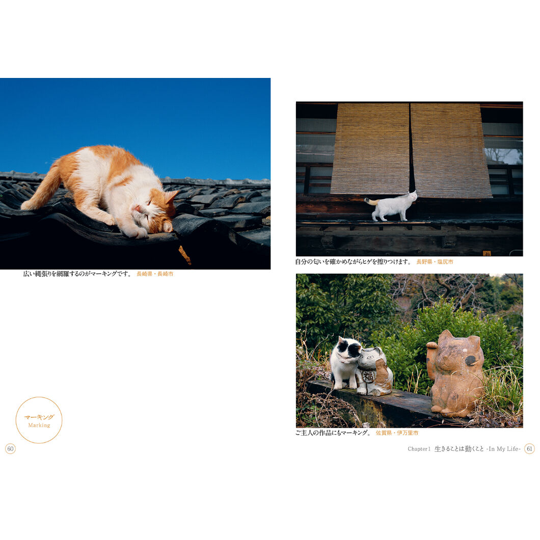 岩合光昭】写真文庫『ねこ』 | Crevis Online Store