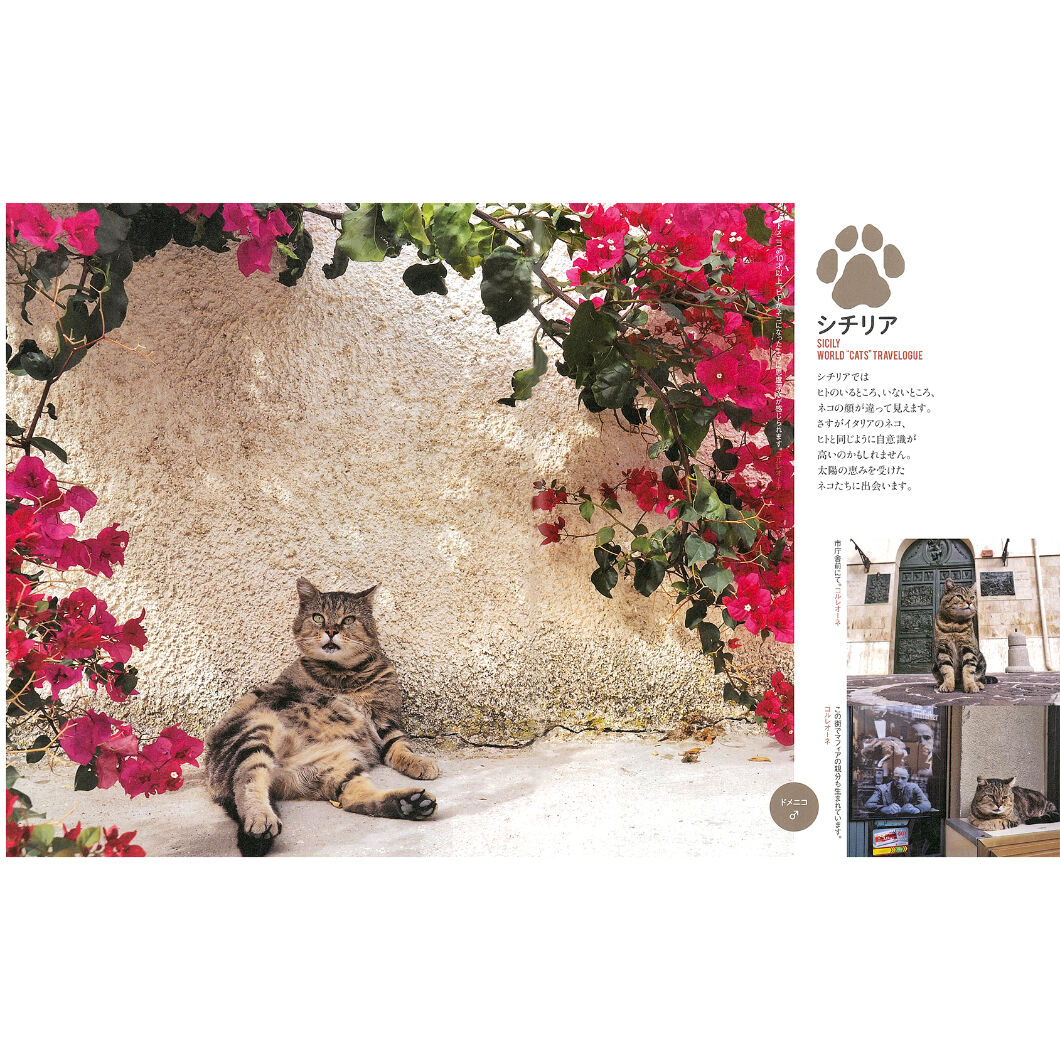 昭和レトロ希少❣【リーベ＆エルフ】白猫たち３匹 ブリキのおもちゃ猫 Puzzle CAT 中山商会 ゼンマイ 回転猫 昭和