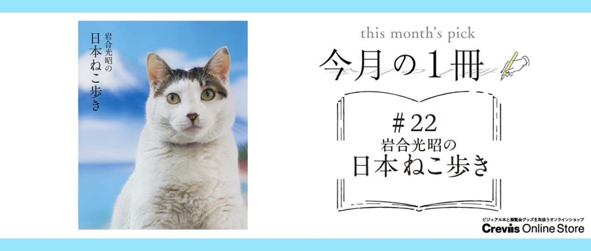 鑑別書】昭和ヴィンテージくっきり猫目大粒クリソベリルキャッツアイ4ct