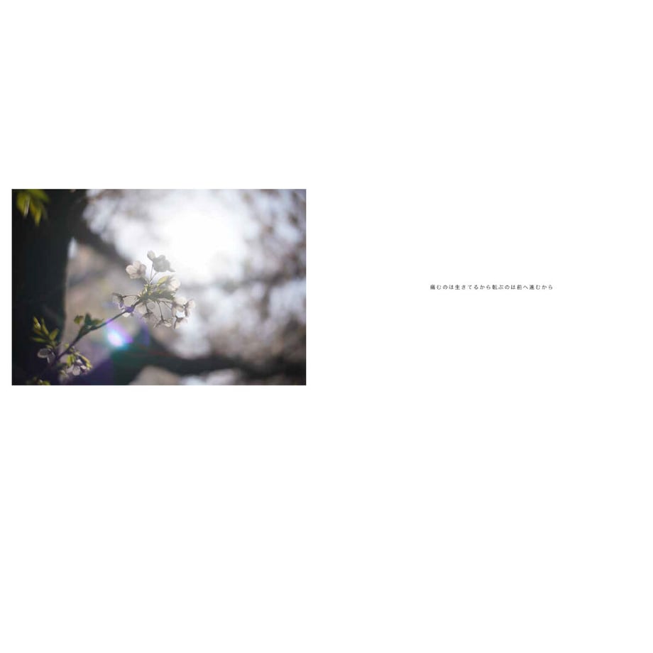 60c1b5252bf901680e78606c