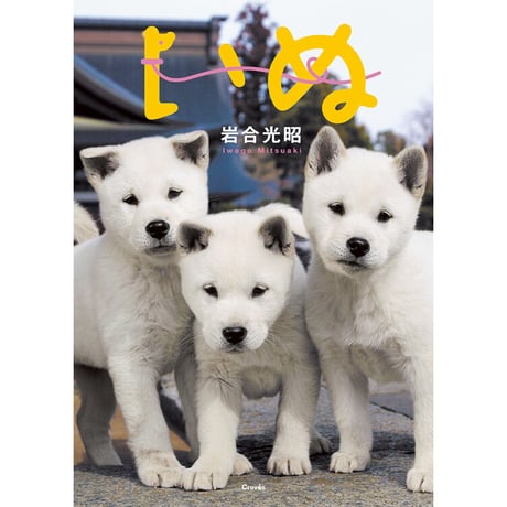 【岩合光昭】写真文庫『いぬ』
