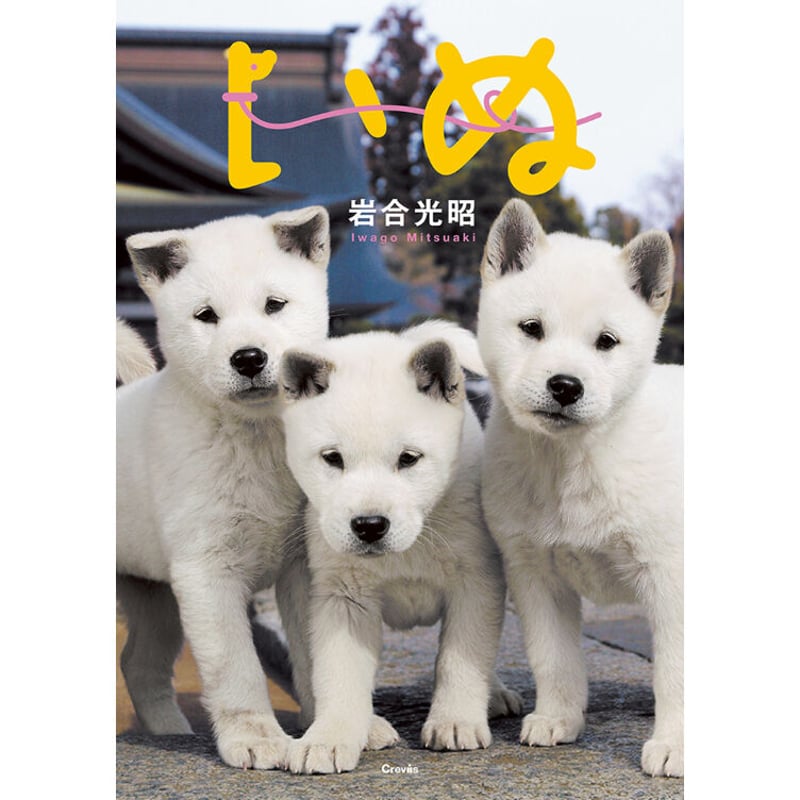 岩合光昭】写真文庫『いぬ』 | Crevis Online Store