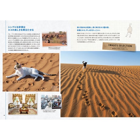 【岩合光昭】『岩合光昭の世界ネコ歩き　続々・番組ガイドブック』