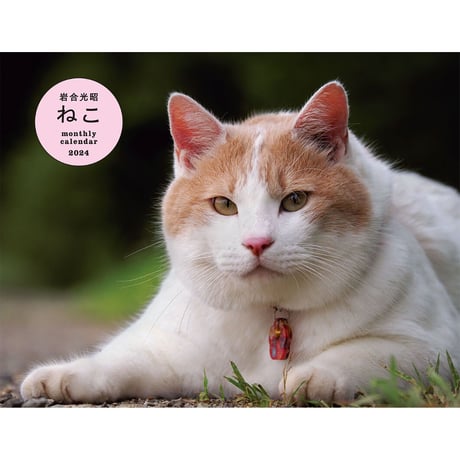 【岩合光昭】2024 岩合光昭 ねこ monthly calendar