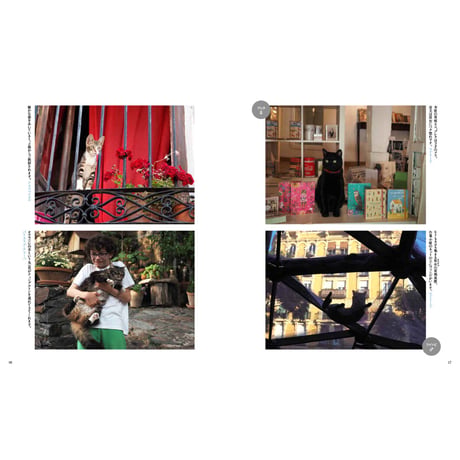 【岩合光昭】写真集『岩合光昭の世界ネコ歩き2』