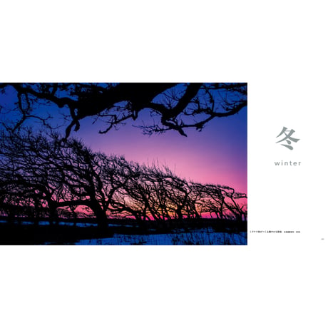 【今森光彦】写真集『にっぽんの里山を旅する』