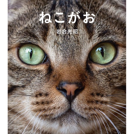 【岩合光昭】IWAGO’S BOOK⑧『ねこがお』