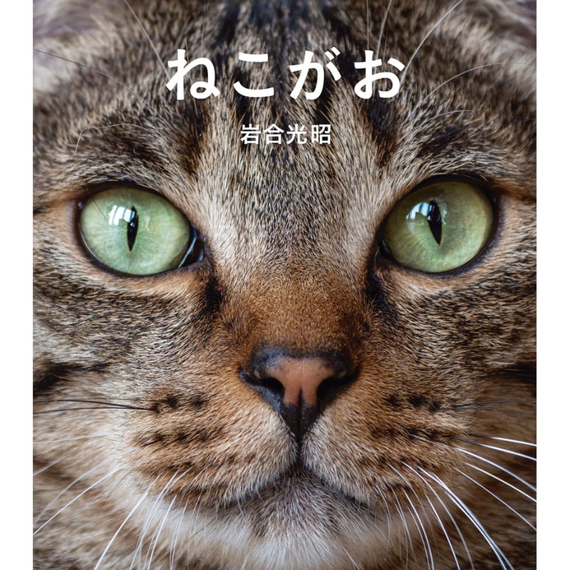 岩合光昭】IWAGO'S BOOK⑧『ねこがお』 | Crevis Online Store 岩合光昭】IWAGO'S BOOK⑧『ねこがお』 | Crevis Online Store