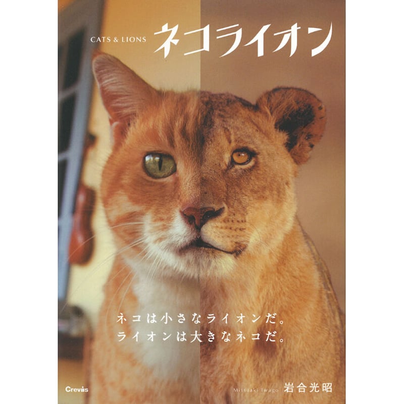 ライオン家族 岩合光昭 写真集8点 ライオン家族 岩合光昭 写真集8点