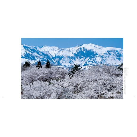 【竹内敏信】写真集『日本の桜』