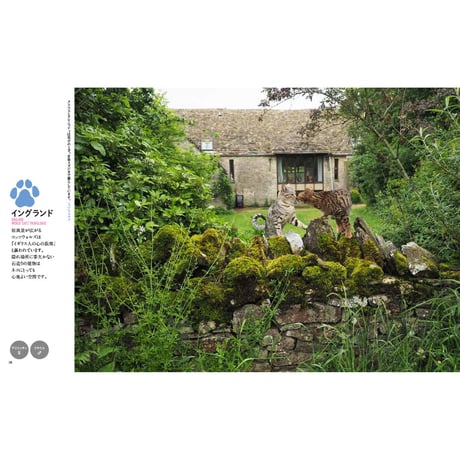 【岩合光昭】写真集『岩合光昭の世界ネコ歩き2』