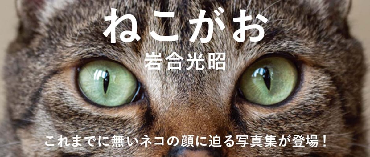 新刊】岩合光昭 IWAGO'S BOOK⑧『ねこがお』 | Crevis Online S