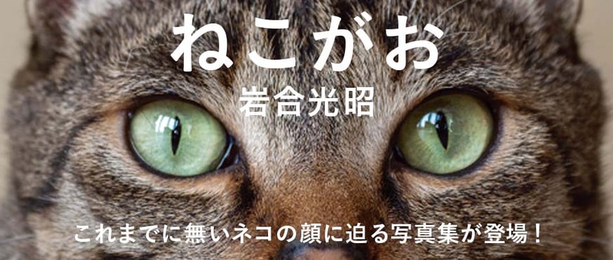 fit=scale-down,w=874