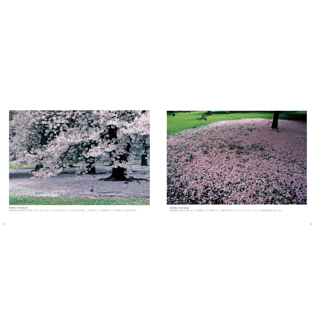 竹内敏信】写真集『日本の桜』 | Crevis Online Store