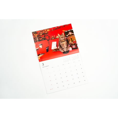 【岩合光昭】2024 岩合光昭 ねこ monthly calendar