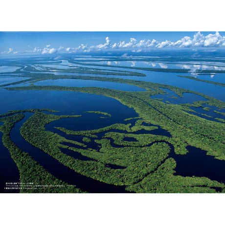 【山口大志】写真集『AMAZON 密林の時間』