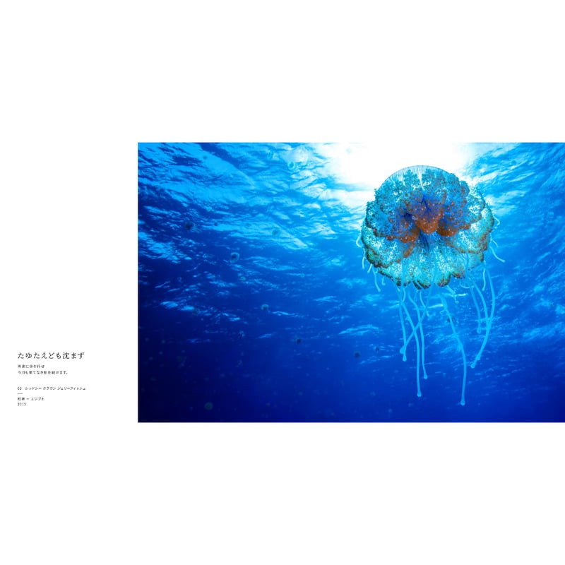 中村征夫】写真集『海中顔面大博覧会』 | Crevis Online Store