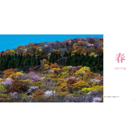 【今森光彦】写真集『にっぽんの里山を旅する』