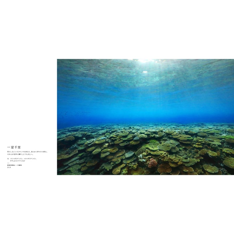 中村征夫】写真集『海中顔面大博覧会』 | Crevis Online Store