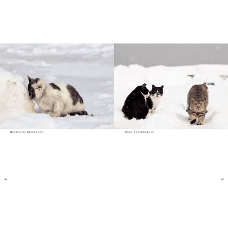 【岩合光昭】写真集『ふるさとのねこ』