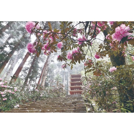 【三好和義】写真集『室生寺』