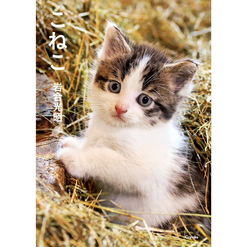 岩合光昭】写真文庫『こねこ』 | Crevis Online Store 岩合光昭】写真文庫『こねこ』 | Crevis Online Store