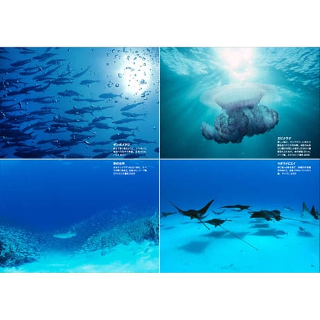 【中村征夫】写真集『永遠の海』
