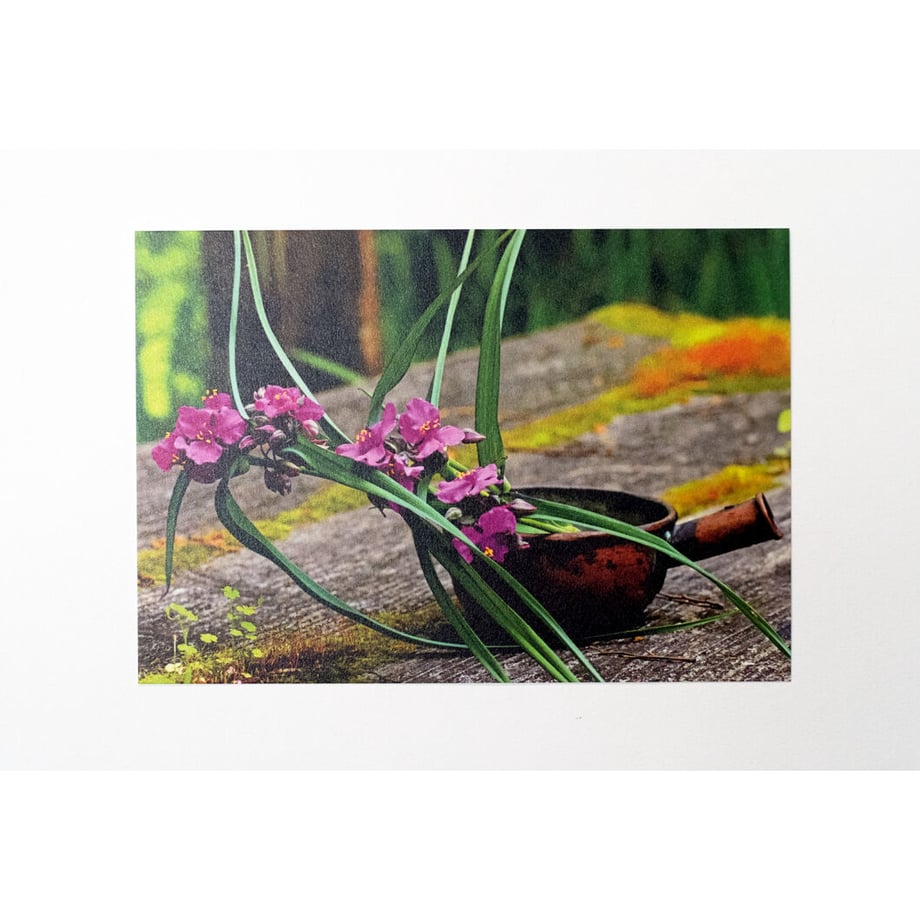 649e24d185e3630040cfe4f8