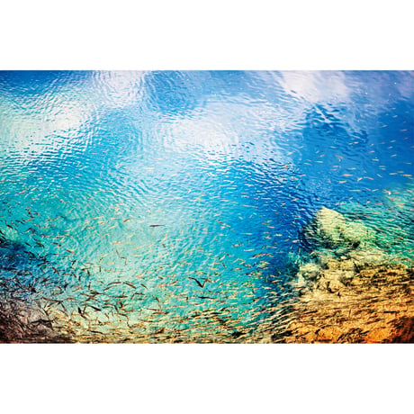 【草彅裕】写真集『水を伝う 玉川毒水』