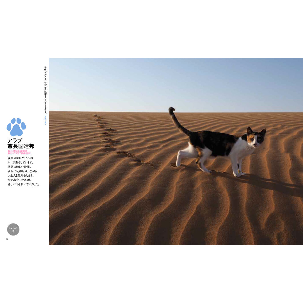 岩合光昭】写真集『岩合光昭の世界ネコ歩き2』 | Crevis Online