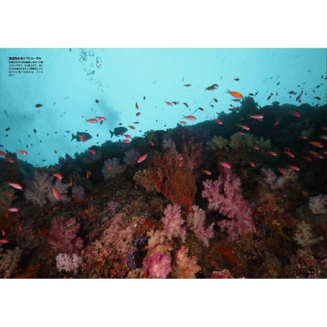 【中村征夫】写真集『永遠の海』
