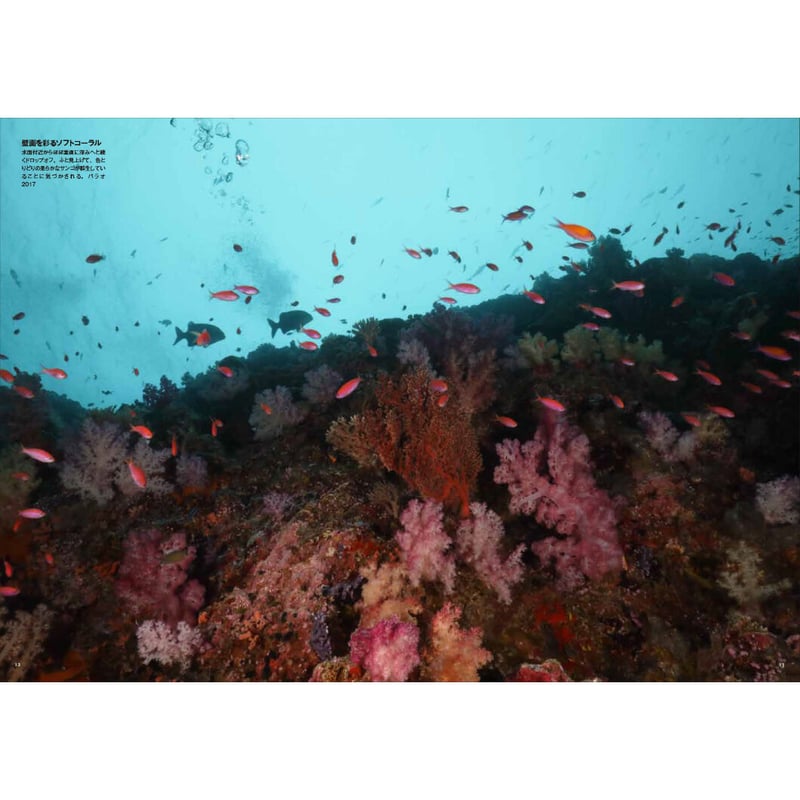 中村征夫】写真集『永遠の海』 | Crevis Online Store 中村征夫】写真集『永遠の海』 | Crevis Online Store