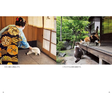 【岩合光昭】写真文庫『ねこの京都』