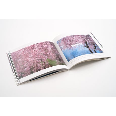 【竹内敏信】写真集『日本の桜』