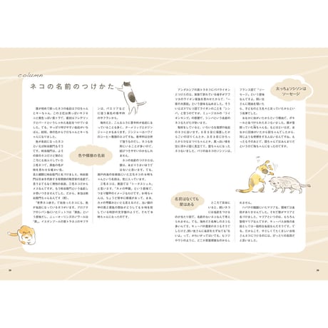 【岩合光昭】『岩合光昭の世界ネコ歩き　続・番組ガイドブック』