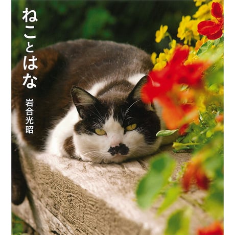 【岩合光昭】IWAGO’S BOOK ④『ねことはな』