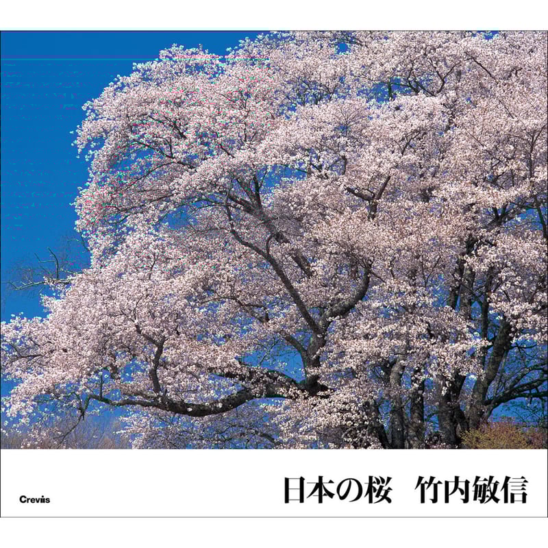 竹内敏信】写真集『日本の桜』 | Crevis Online Store