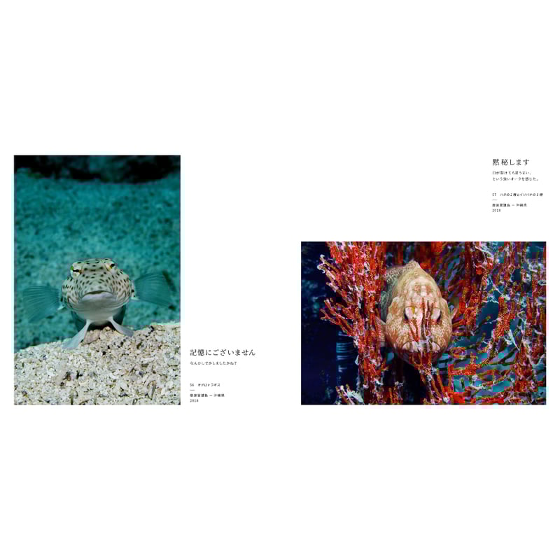 中村征夫】写真集『海中顔面大博覧会』 | Crevis Online Store