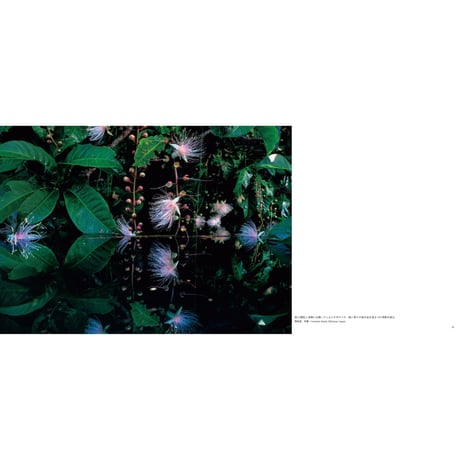 【高砂淳二】写真集『この惑星（ほし）の声を聴く』