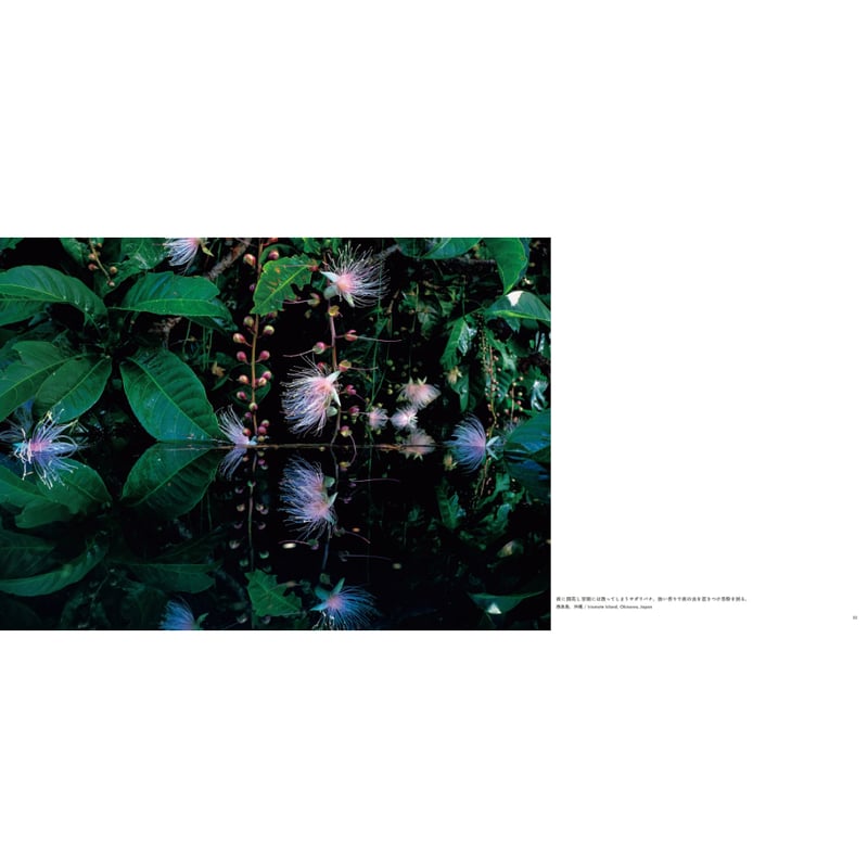 高砂淳二】写真集『この惑星（ほし）の声を聴く』 | Crevis Online Store