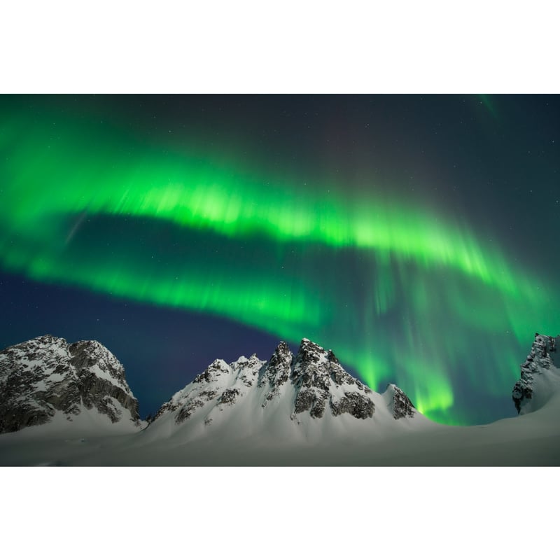 プリント絵画　Cariofillee Momo chidori kyoka awase 百千鳥狂歌合 Manifold Birds, A