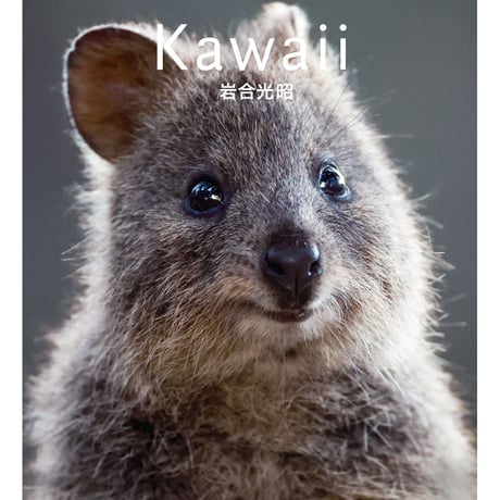 CATEGORY 書籍 | Crevis Online Store CATEGORY 書籍 | Crevis Online Store
