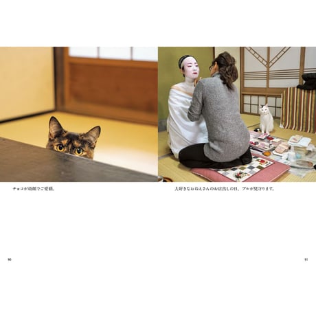 【岩合光昭】写真文庫『ねこの京都』