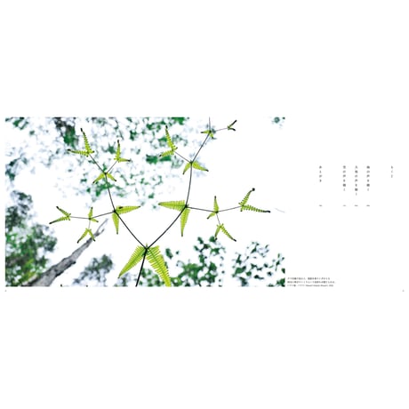 【高砂淳二】写真集『この惑星（ほし）の声を聴く』